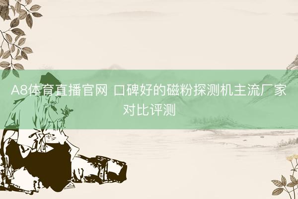A8体育直播官网 口碑好的磁粉探测机主流厂家对比评测