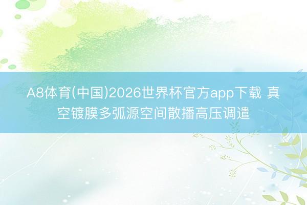 A8体育(中国)2026世界杯官方app下载 真空镀膜多弧源空间散播高压调遣