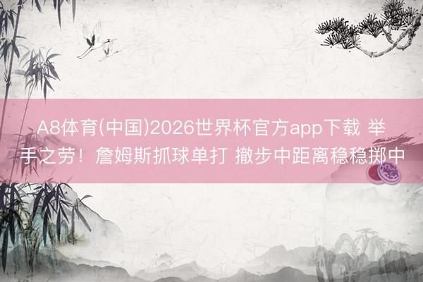 A8体育(中国)2026世界杯官方app下载 举手之劳！詹姆斯抓球单打 撤步中距离稳稳掷中