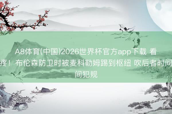 A8体育(中国)2026世界杯官方app下载 看着就疼！布伦森防卫时被麦科勒姆踢到枢纽 吹后者时间犯规
