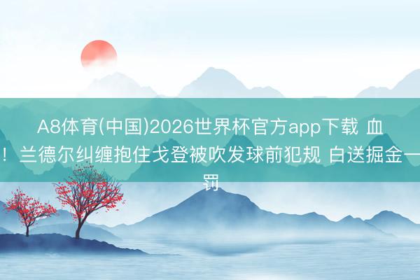 A8体育(中国)2026世界杯官方app下载 血亏！兰德尔纠缠抱住戈登被吹发球前犯规 白送掘金一罚