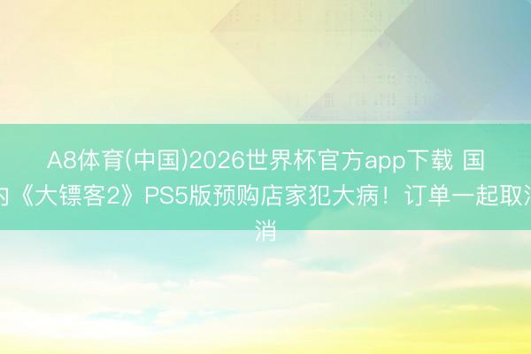 A8体育(中国)2026世界杯官方app下载 国内《大镖客2》PS5版预购店家犯大病！订单一起取消