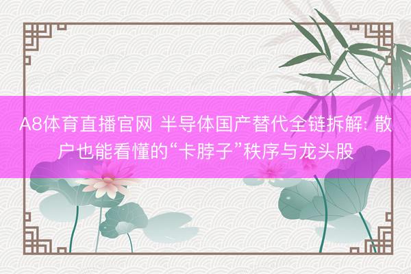 A8体育直播官网 半导体国产替代全链拆解: 散户也能看懂的“卡脖子”秩序与龙头股