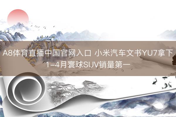 A8体育直播中国官网入口 小米汽车文书YU7拿下1-4月寰球SUV销量第一