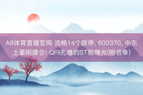 A8体育直播官网 流畅14个跌停， 600370， 中东土豪刚建仓! QFII扎堆的ST股曝光(附名单)