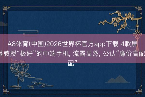 A8体育(中国)2026世界杯官方app下载 4款屏幕教授“极好”的中端手机， 流露显然， 公认“廉价高配”