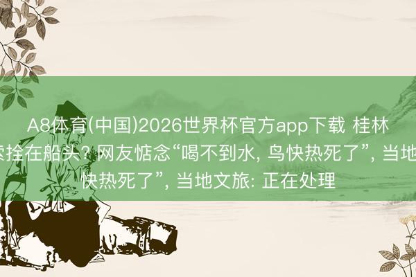 A8体育(中国)2026世界杯官方app下载 桂林阳朔鸬鹚被绳索拴在船头? 网友惦念“喝不到水， 鸟快热死了”， 当地文旅: 正在处理