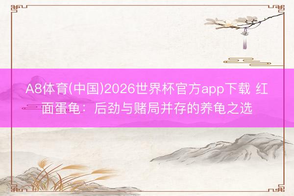 A8体育(中国)2026世界杯官方app下载 红面蛋龟：后劲与赌局并存的养龟之选
