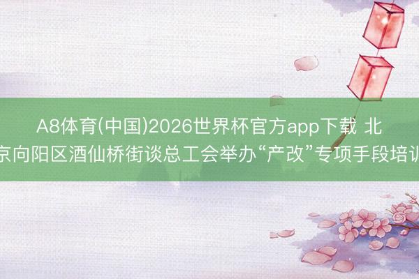 A8体育(中国)2026世界杯官方app下载 北京向阳区酒仙桥街谈总工会举办“产改”专项手段培训