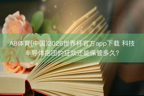 A8体育(中国)2026世界杯官方app下载 科技半导体抱团的狂欢还能保管多久?