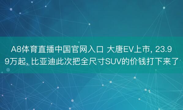 A8体育直播中国官网入口 大唐EV上市， 23.99万起， 比亚迪此次把全尺寸SUV的价钱打下来了